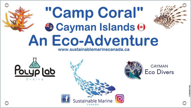 Camp Coral - An Eco Adventure