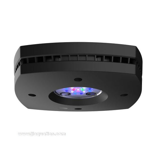 Ai Prime 16 LED Freshwater - Black Body